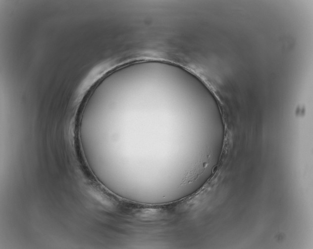 X0000096180151200802011351