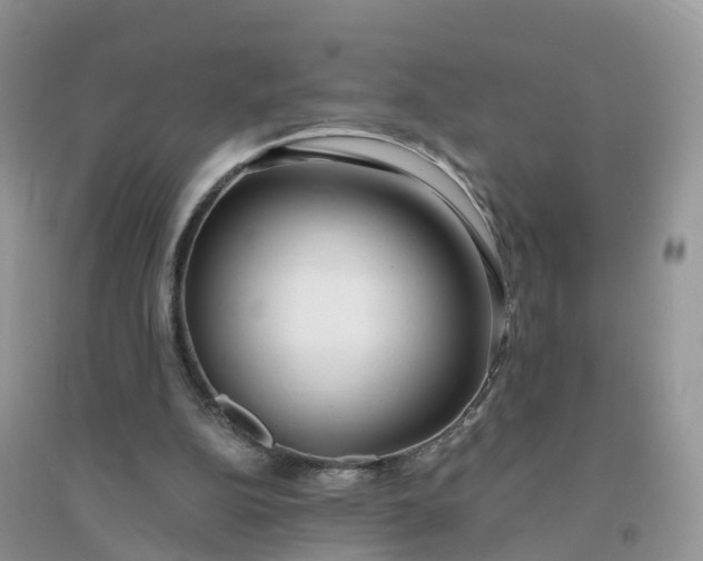 X0000096180152200802011351