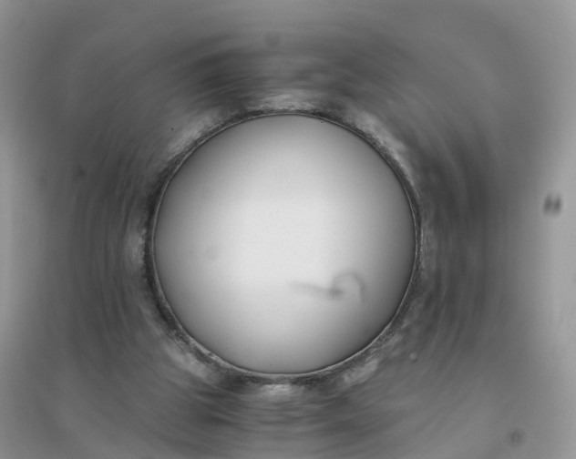 X0000096180153200802011351