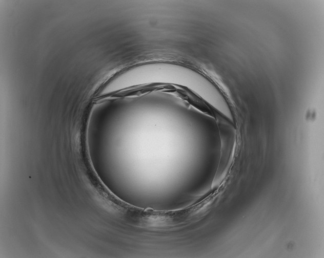 X0000096180154200802011351