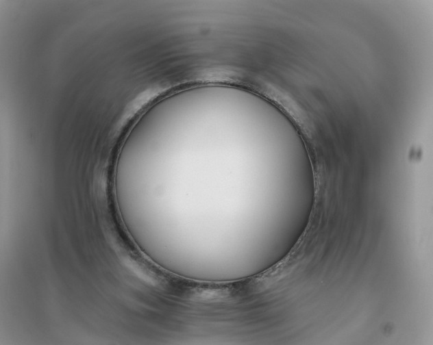 X0000096180155200802011351