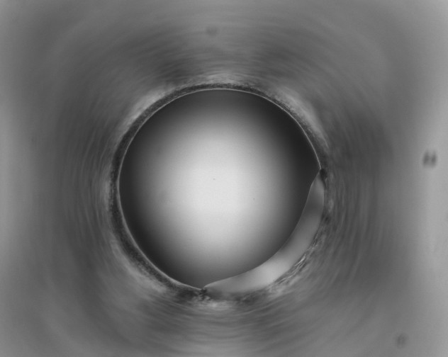 X0000096180156200802011351