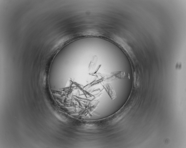 X0000096180157200802011351