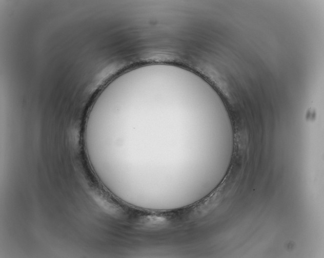 X0000096180159200802011351