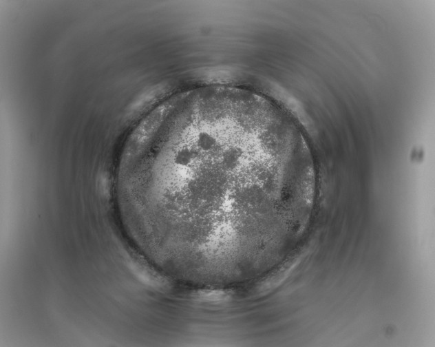 X0000096180161200802011351
