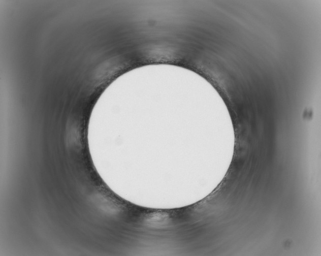 X0000096180162200802011351