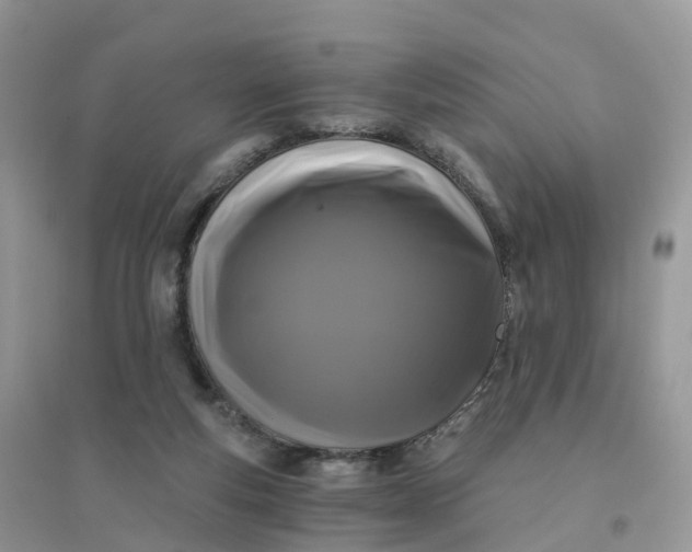 X0000096180163200802011351