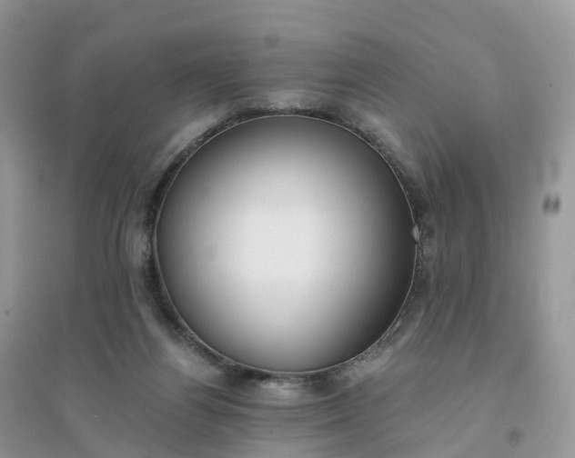 X0000096180164200802011351