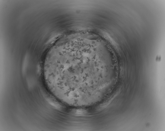X0000096180165200802011351