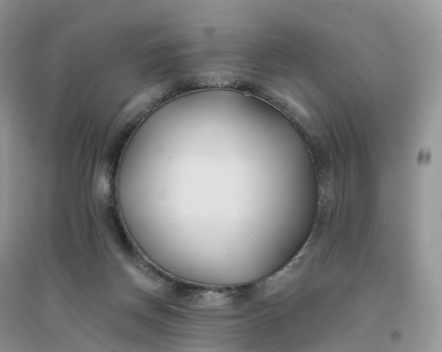 X0000096180166200802011351