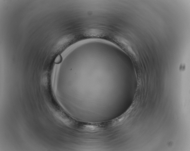X0000096180167200802011351