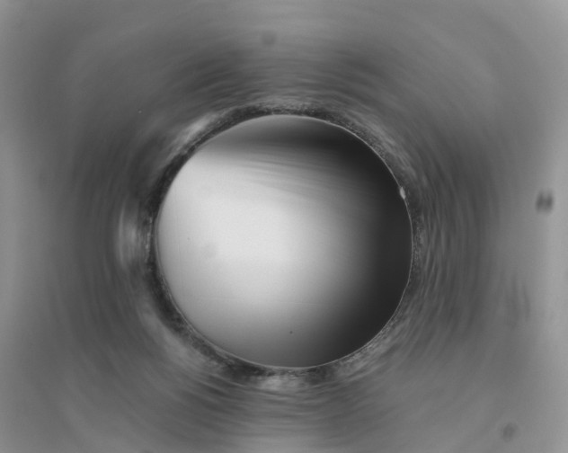 X0000096180168200802011351