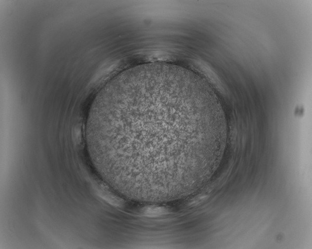 X0000096180169200802011351