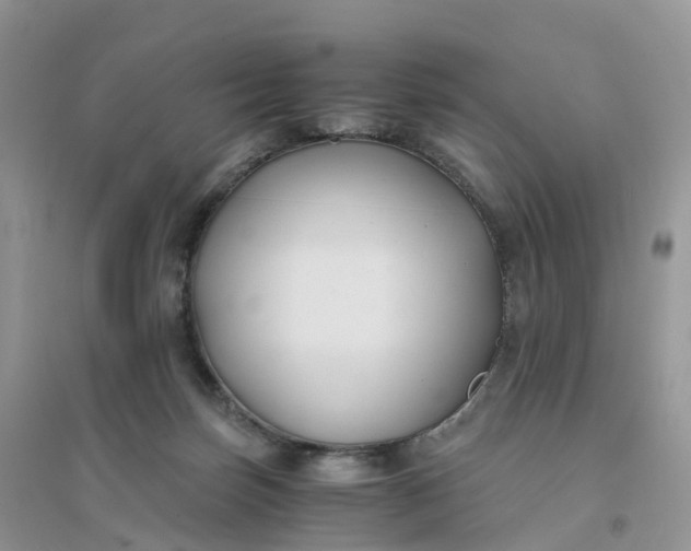 X0000096180171200802011351