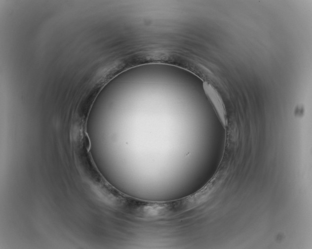 X0000096180172200802011351