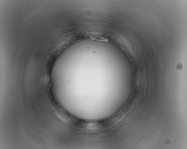 X0000096180173200802011351