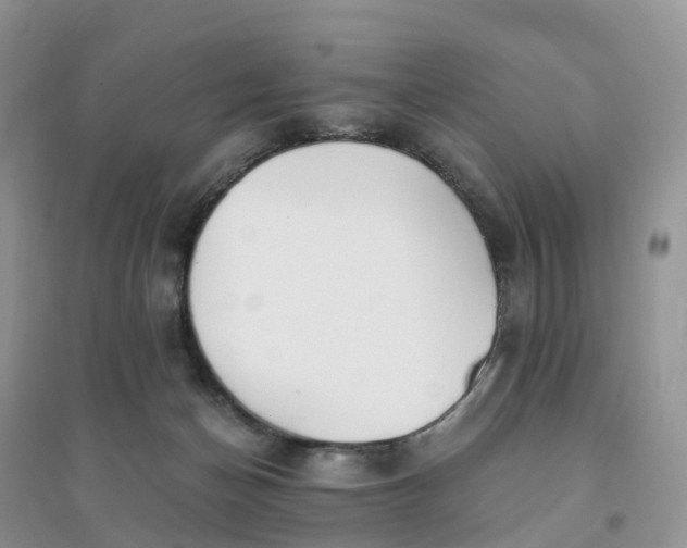X0000096180174200802011351