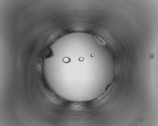 X0000096180175200802011351
