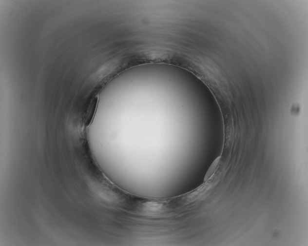 X0000096180176200802011351