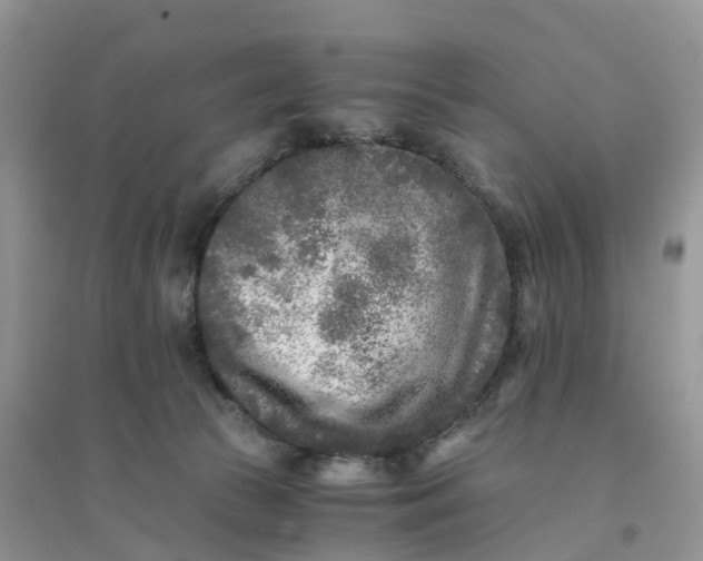 X0000096180177200802011351