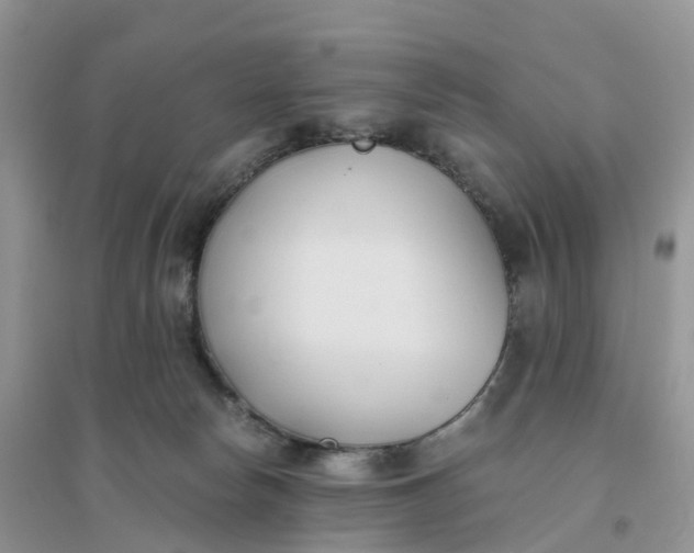 X0000096180178200802011351