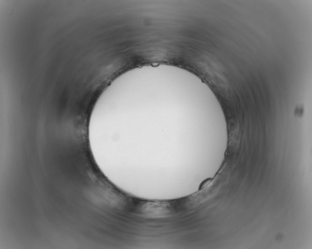 X0000096180179200802011351