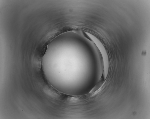 X0000096180180200802011351