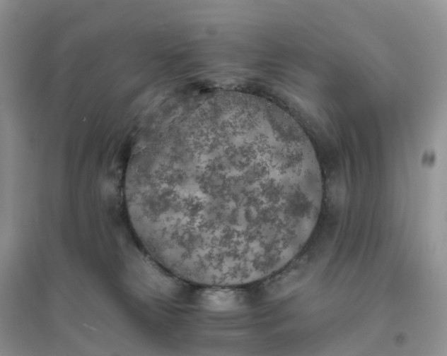 X0000096180181200802011351