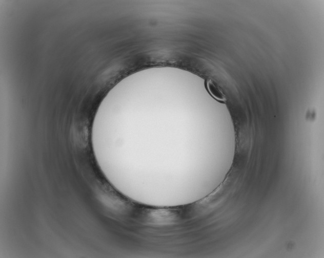 X0000096180183200802011351