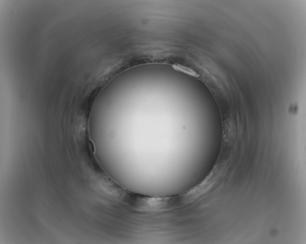 X0000096180184200802011351
