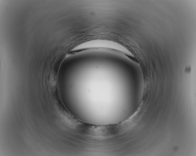 X0000096180186200802011351