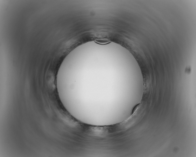 X0000096180187200802011351