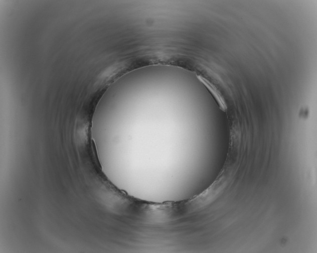 X0000096180188200802011351