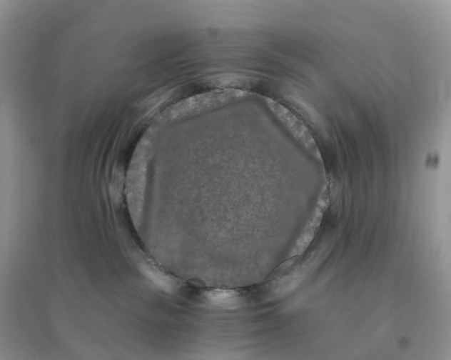 X0000096180189200802011352
