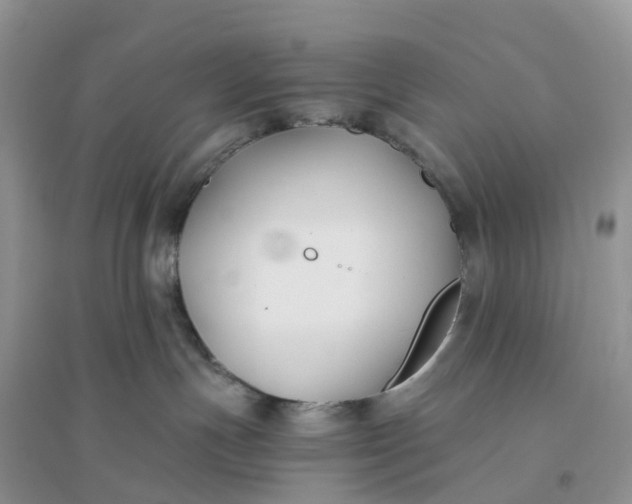 X0000096180191200802011352