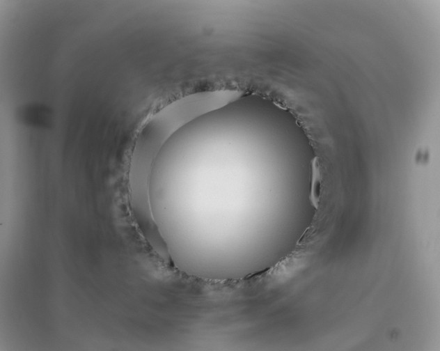 X0000096180192200802011352