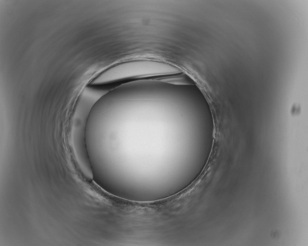X0000096180193200802011351