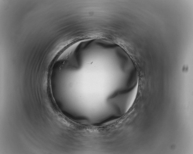 X0000096180194200802011351