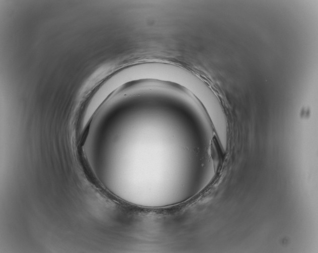 X0000096180197200802011351