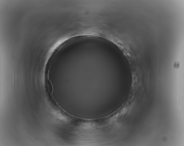 X0000096180200200802011351