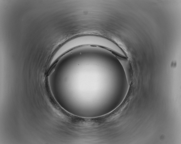 X0000096180201200802011351