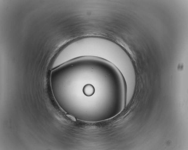 X0000096180203200802011351