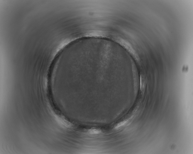 X0000096180204200802011351