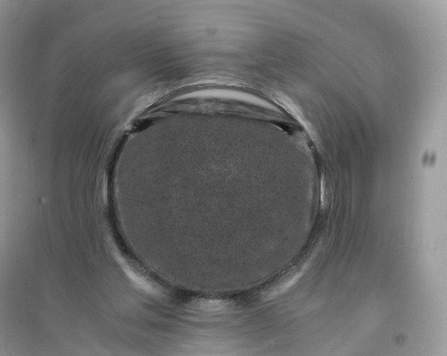 X0000096180205200802011351