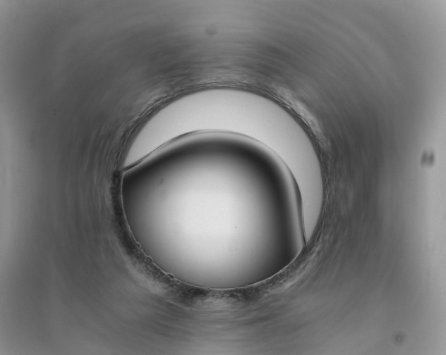 X0000096180209200802011350