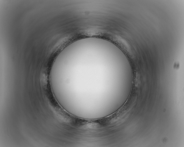 X0000096180210200802011350