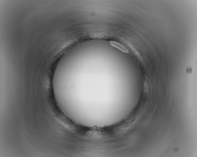 X0000096180211200802011350