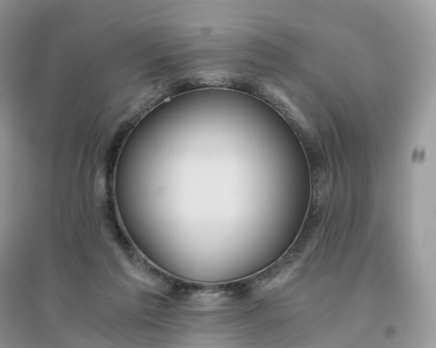 X0000096180213200802011350