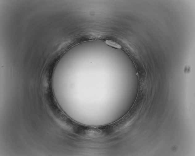 X0000096180215200802011350