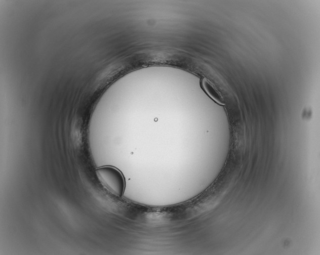 X0000096180216200802011350